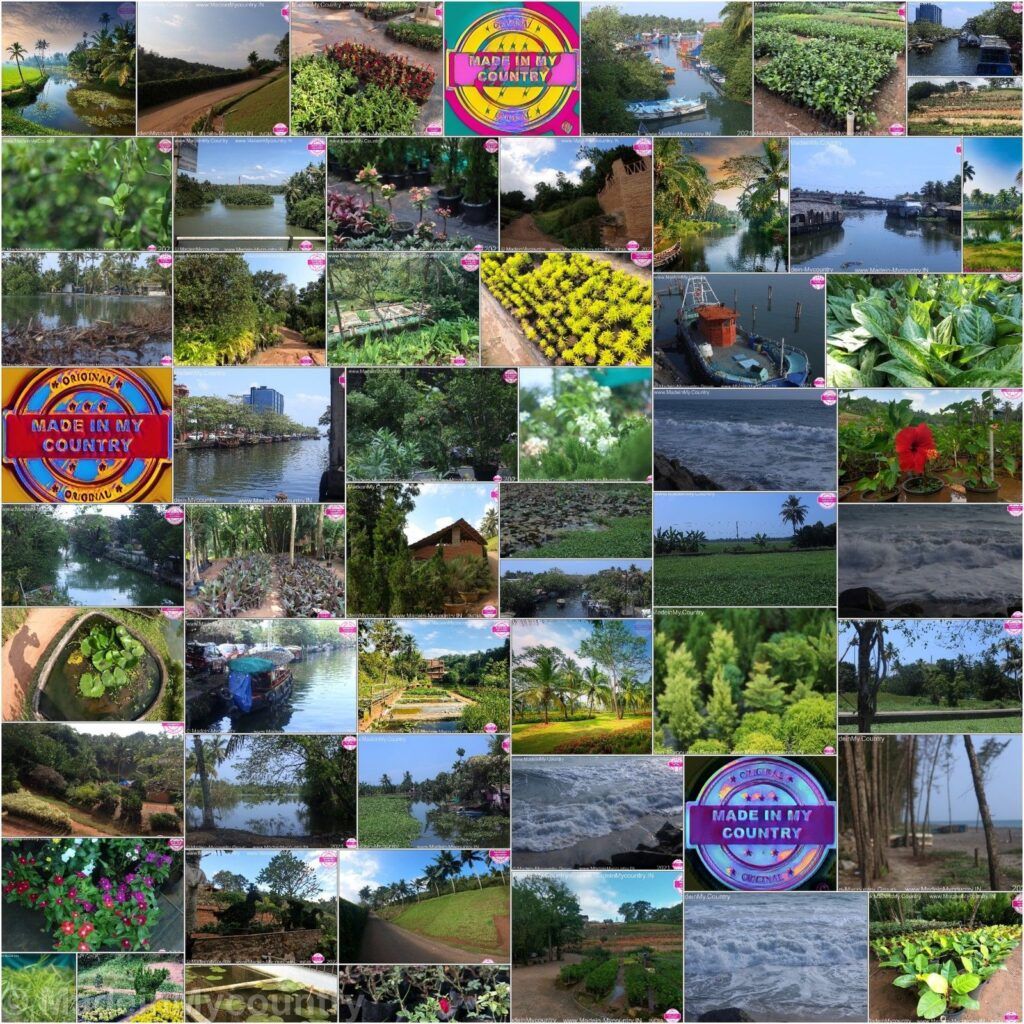 MadeinMycountry India! MadeinMycountry is a global platform that celebrates and supports local history, culture, art and nature conservation efforts.